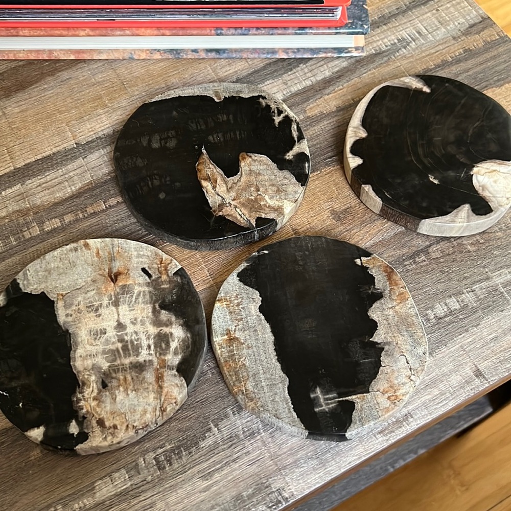 Petrified Wood Coasters